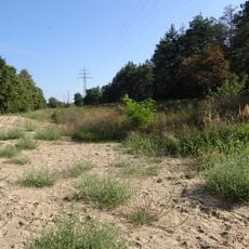 Beckertanne von Darmstadt mit angrenzender Fläche