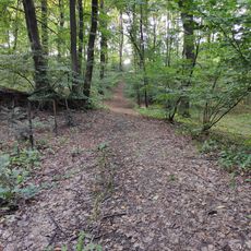 SAC Hněvošický háj