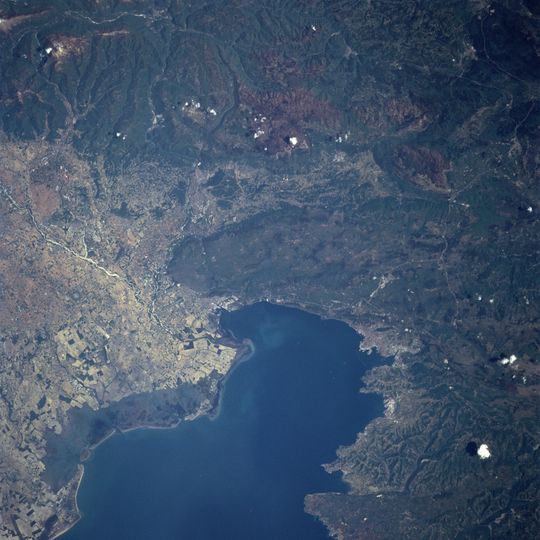 Gulf of Trieste