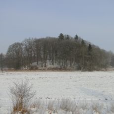 Moorrinne von Klein Salitz bis zum Neuenkirchener See