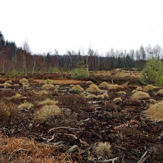 Krásenské rašeliniště