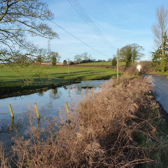 Moated site of Frankley Hall