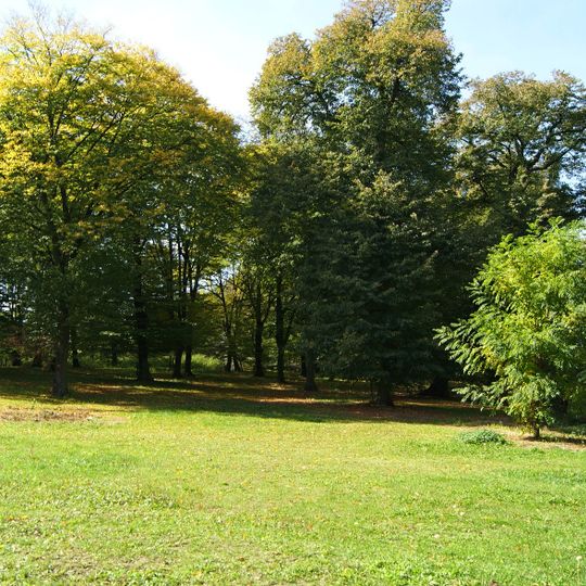 Park z fragmentami brzozowej alei dojazdowej i drzewami pomnikowymi