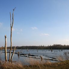 Marais d’Harchies – Hensies – Pommerœul