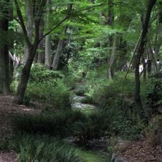 Forêt de Tadasu