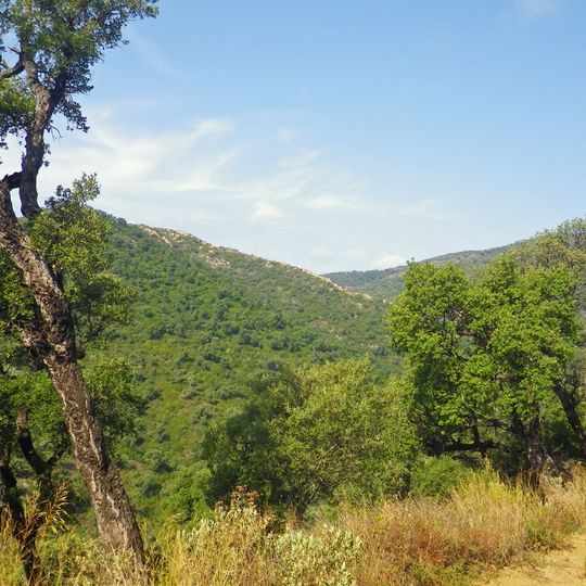 Arboretum de Gratteloup