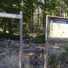 Stora Envätterns naturreservat