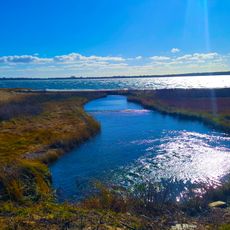 Lake Montauk