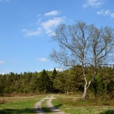 Sandergebiet westlich von Brammerau