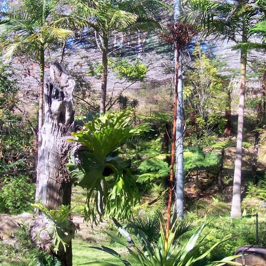 Burrendong Botanic Garden and Arboretum