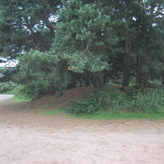 Two bowl barrows on Woodbury Common, 640m and 625m east of Four Firs