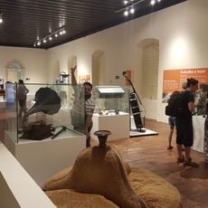 Museu Municipal Bernardino De Campos