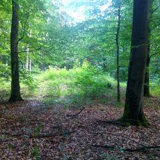 Grabhügel im Breitenbüschle