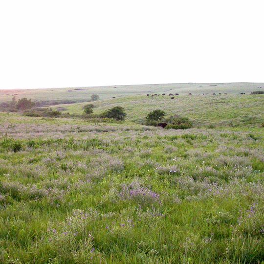 Konza Prairie