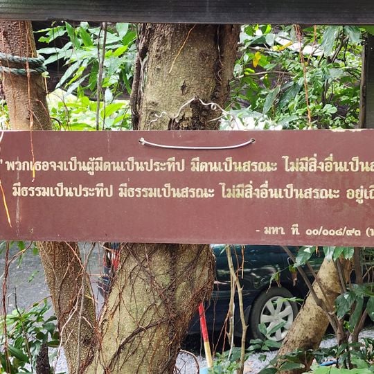 Wat Na Pa Phong