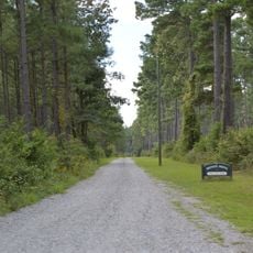Newington Archaeological Site