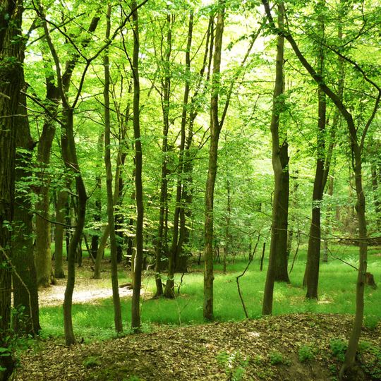 Nature reserve Brzęki przy Starej Gajówce