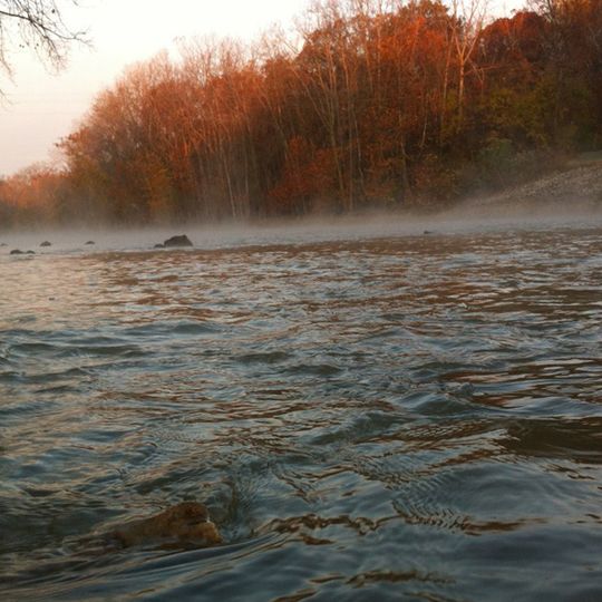 J.E. Roush Fish and Wildlife Area
