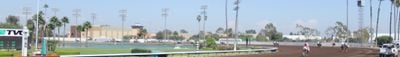 Panoramic View 0