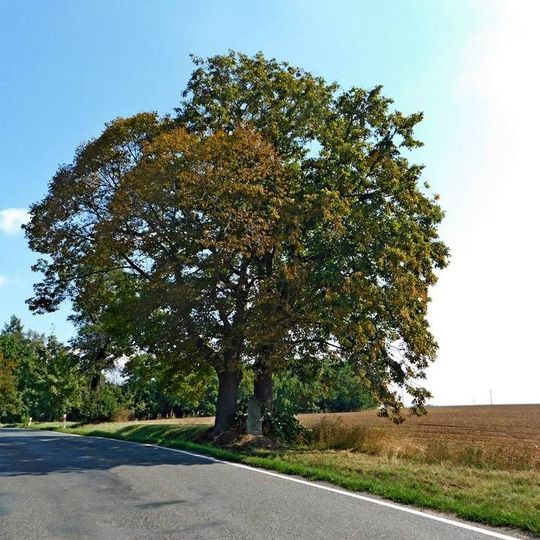 Kříž u zemědělského družstva ve Zdislavicích