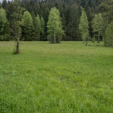 Strawiesen im Redltal