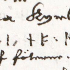 Uppland Runic Inscription 1029