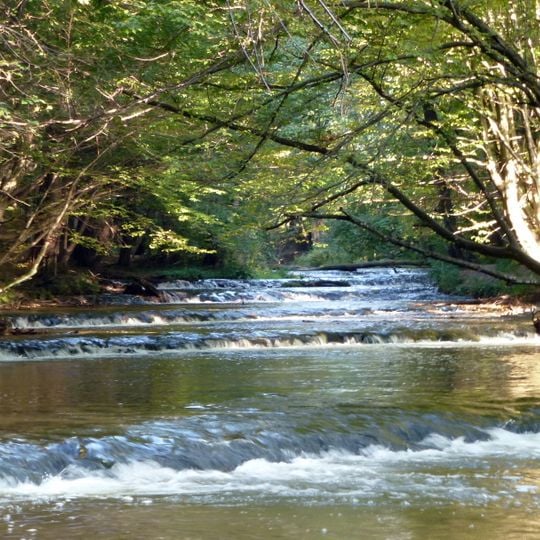 Tanew Nature Reserve
