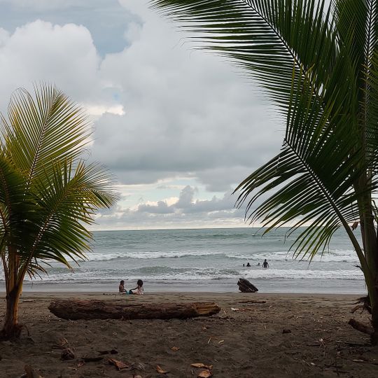 Playa Matapalo