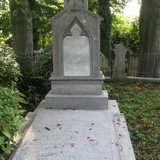 Graf familie Van Son