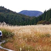 兵庫県
