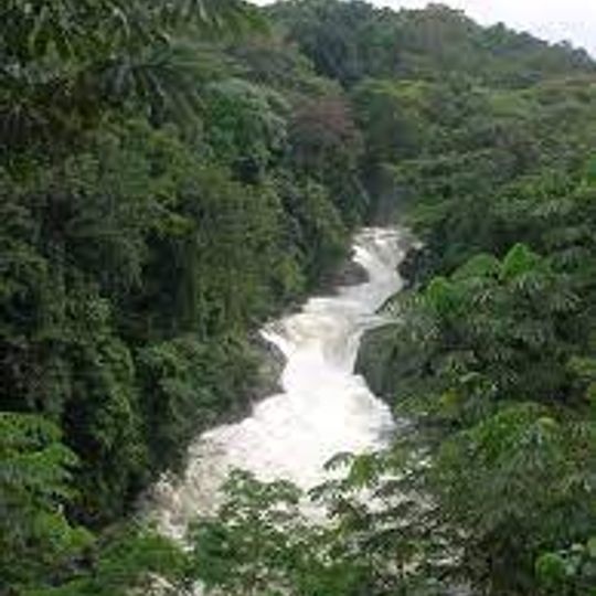 Oba Hills Forest Reserve