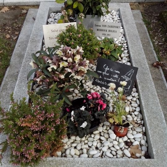Grave of Lucas Dolega