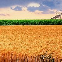 Kansas