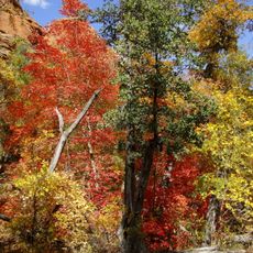 Red Rock-Secret Mountain Wilderness