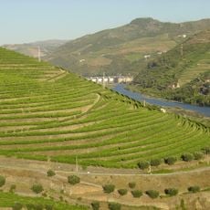 Douro DOC