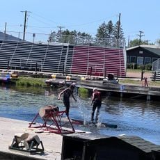 Scheer's Lumberjack Shows