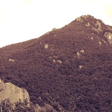 Сборови грамади