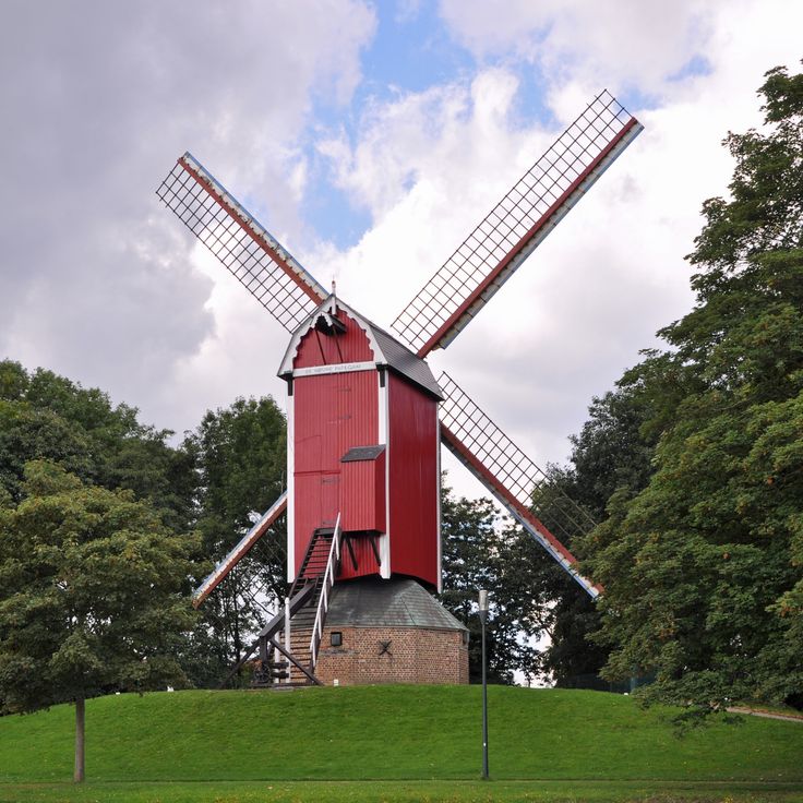 De nieuwe Papegaai, Brugge