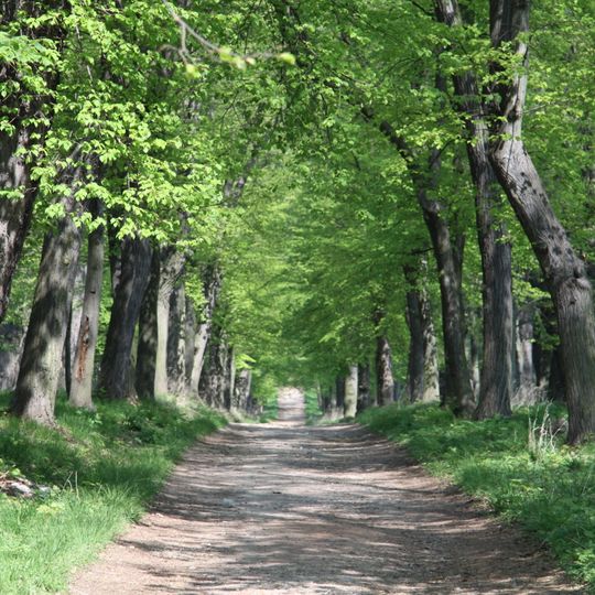 Augustiniánské lípy ve Lnářích