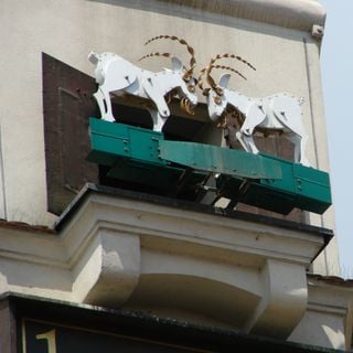 Poznań Goats