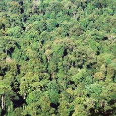 Toonumbar National Park