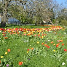 Den botaniske have i Lund