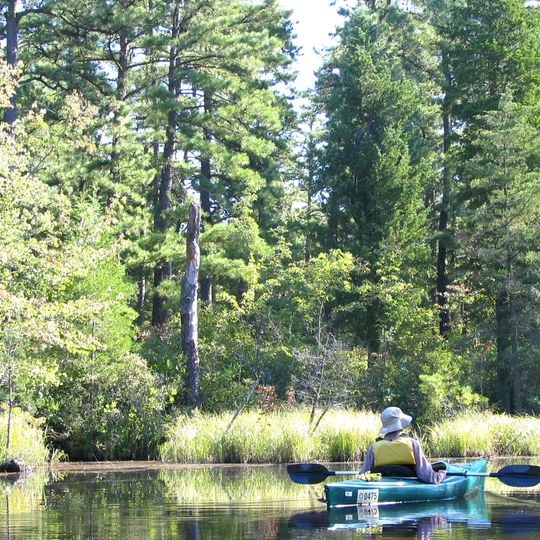 Wharton State Forest