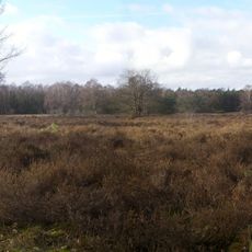 Terrein waarin 5 grafheuvels