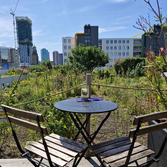Biergarten Rotterdam