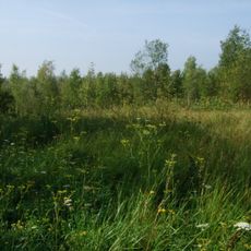 Carrière des Nerviens Regional Nature Reserve