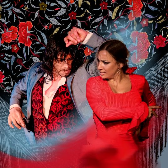 Flamenco Granada