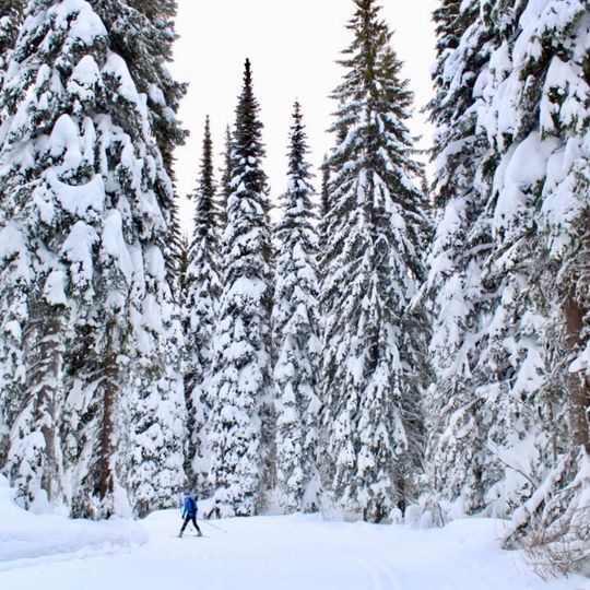 Silver Star Provincial Park