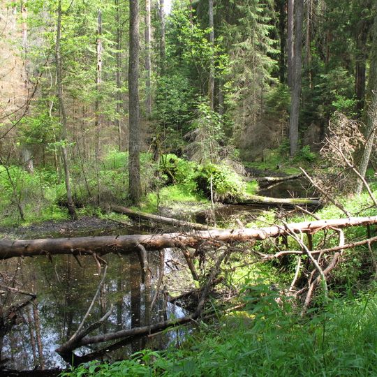 Nature reserve Międzyrzecze