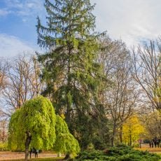 Borisova Gradina